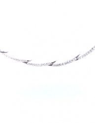 Photo montre